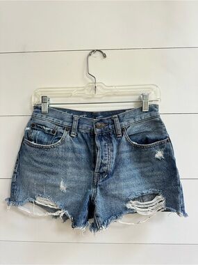Free People We the Free Denim Shorts